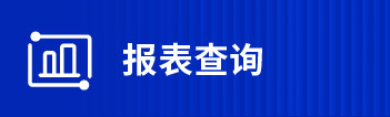 报表查询