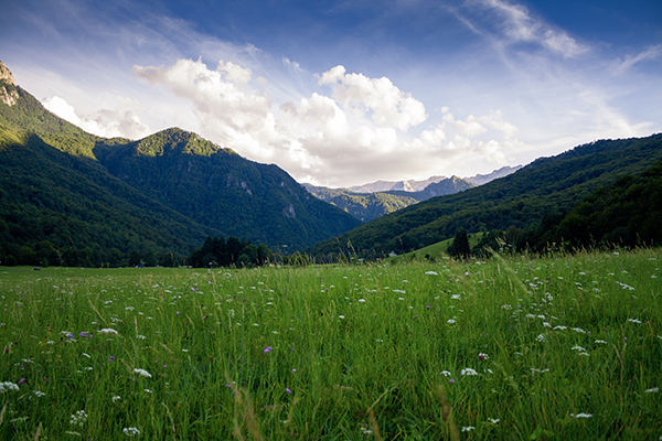 grass field and mountain ranges.jpg