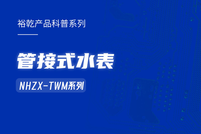 管接式水表NHZX-TWM系列：解析其在能耗监测系统中的关键作用！