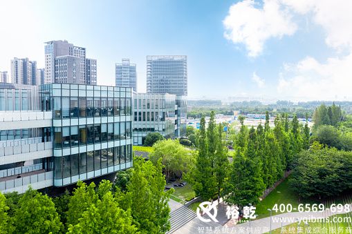 trees-by-road-against-buildings-in-city.jpg